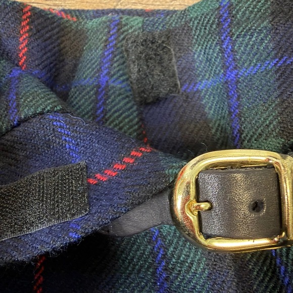 CARROLL REED Wool Plaid Pleated Skirt Size 10 Gold Buckle Detail - Picture 8 of 13